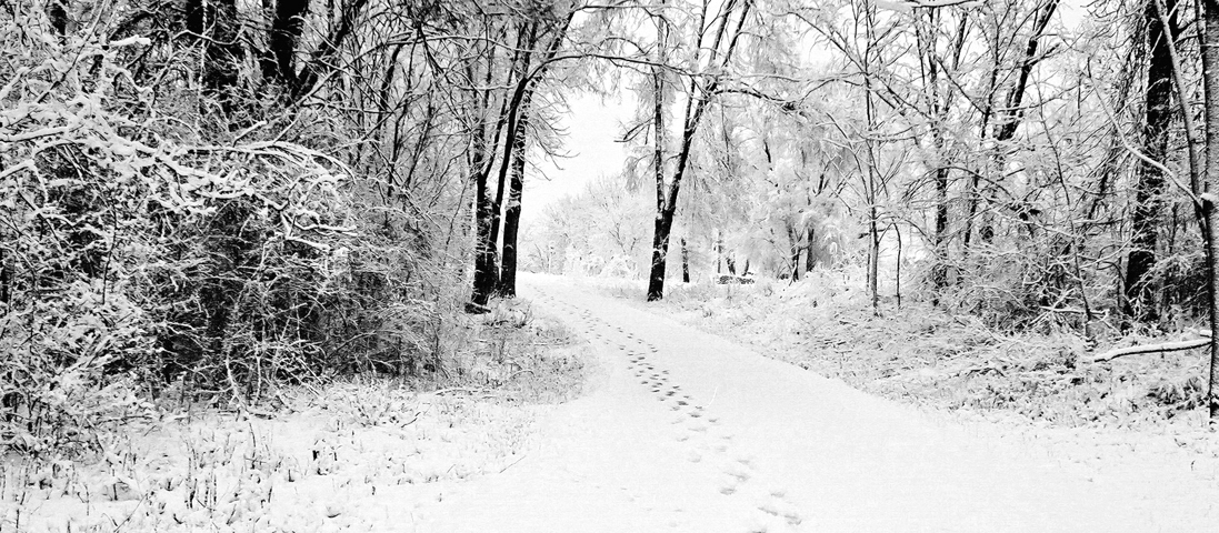 winterwalk.jpg